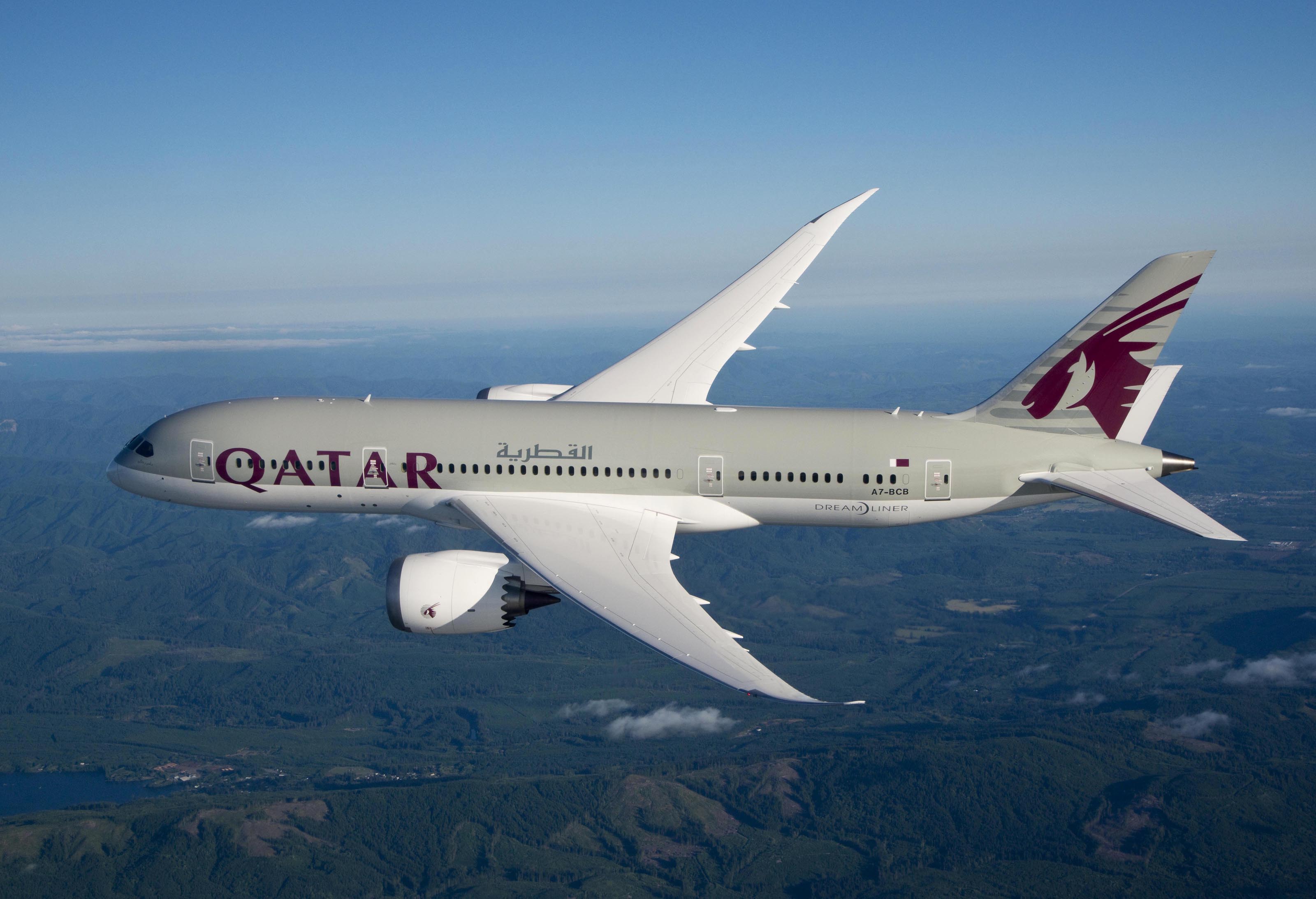 Picture from Qatar Airways.