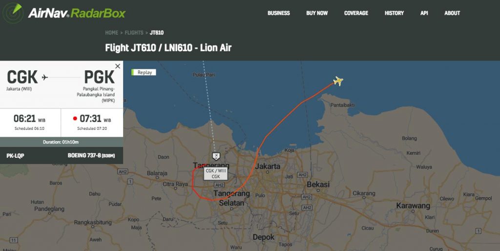 indonesia Boeing 737 Max 8crash ile ilgili görsel sonucu
