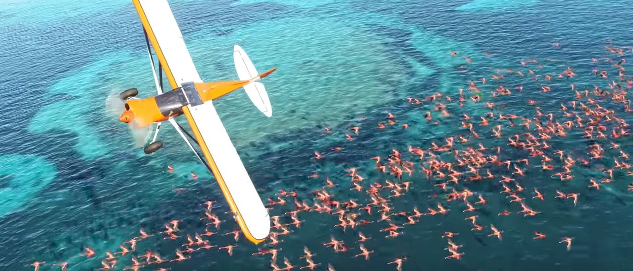 microsoft flight simulator x aircraft with rear prop microsoft flight simulator x aircraft with rear prop
