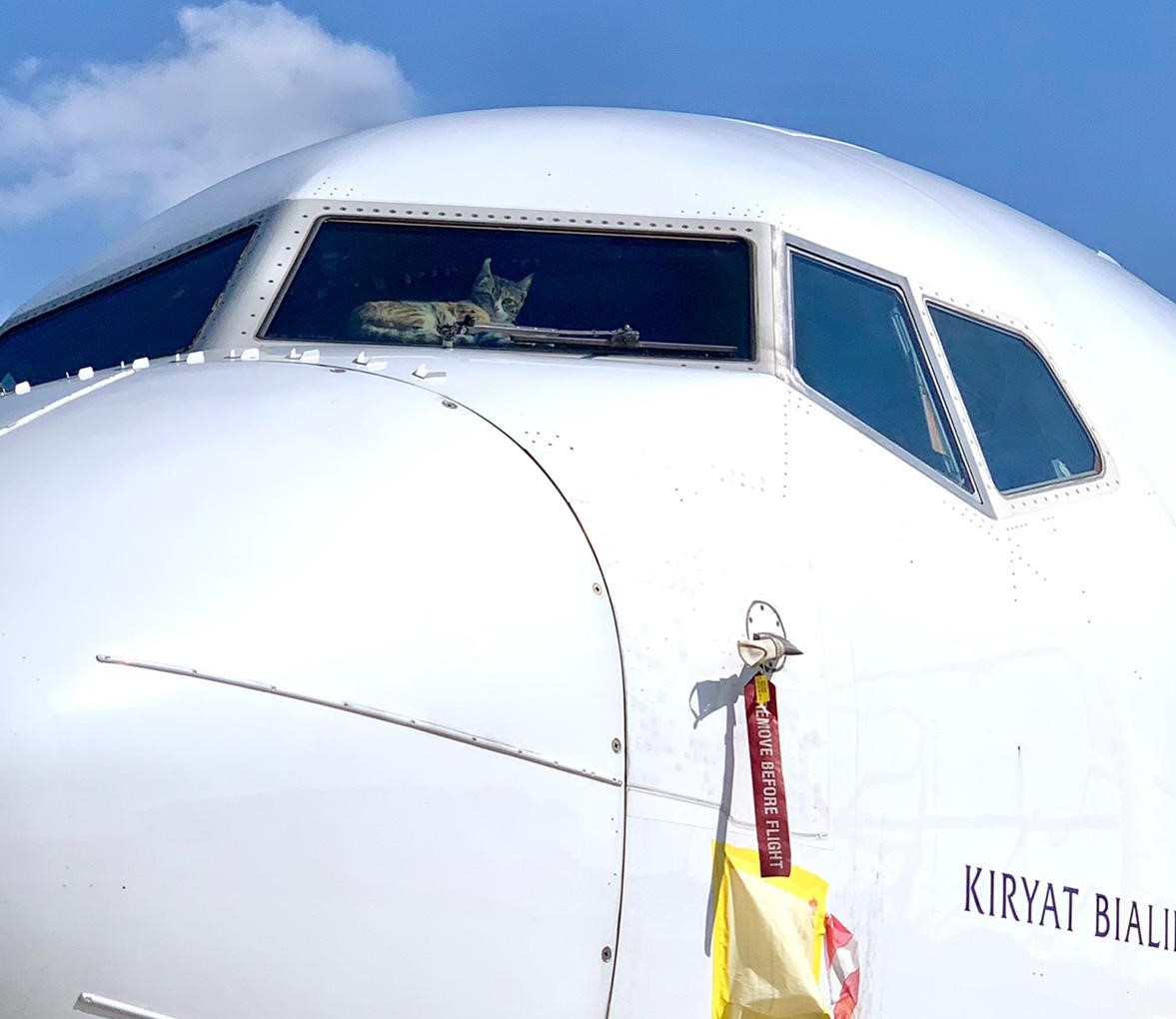 Cat Locked in Boeing 737 Cockpit