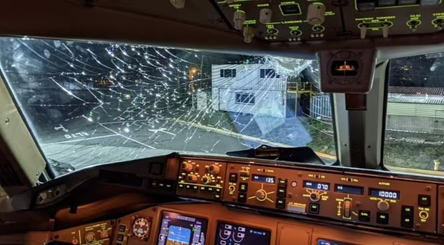 www.airlive.net